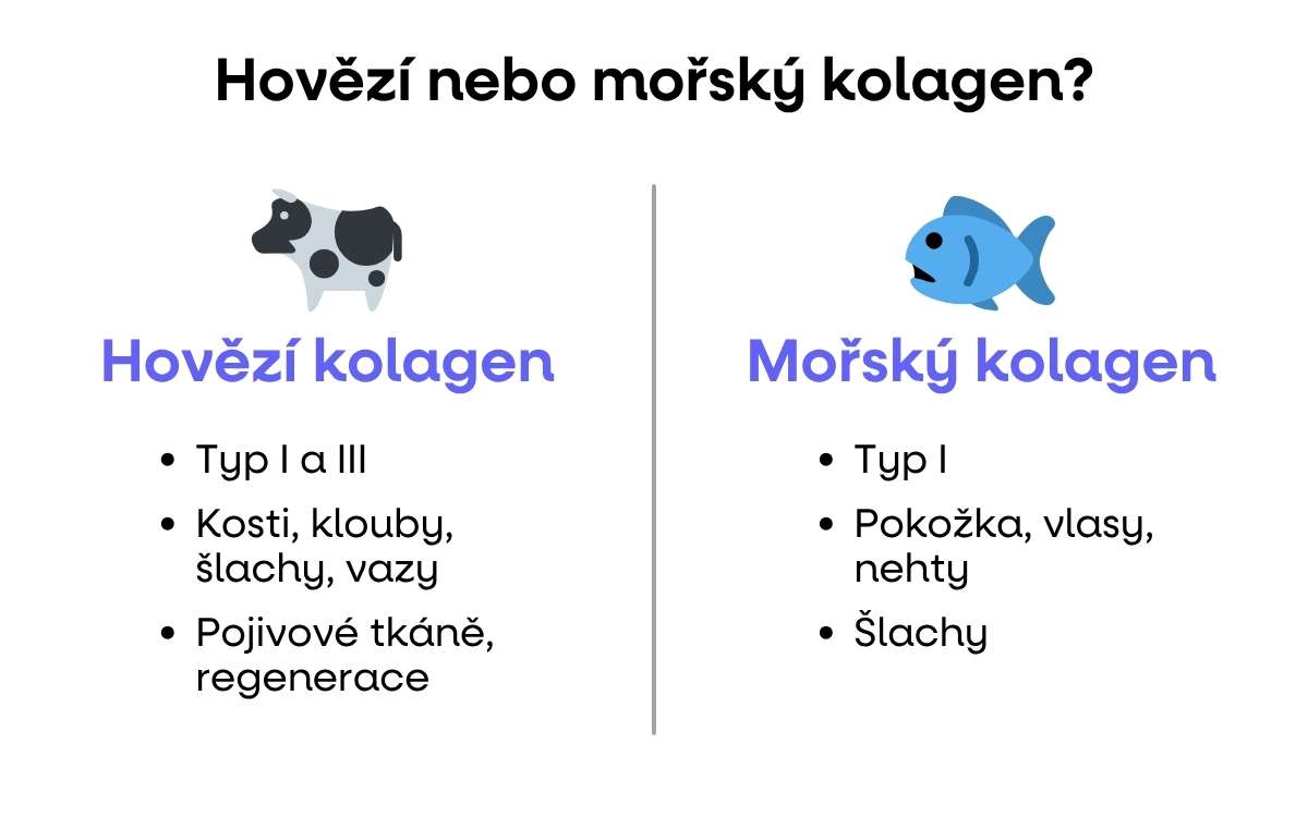 hovezi nebo morsky kolagen
